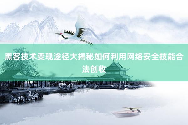 黑客技术变现途径大揭秘如何利用网络安全技能合法创收